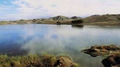 تدوین برنامههای مدیریت زیست بومی 7 تالاب استان فارس