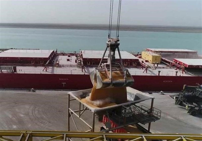 ترخیص 65 هزار تن ذرت دامی از انبارهای بندر امام (ره)+فیلم