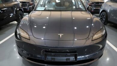 _تسلای_ _جدید_ _به_ _میدان_ _آمد_