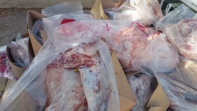 تشکیل 142 میلیارد پرونده تخلف گوشت و مرغ در کردستان