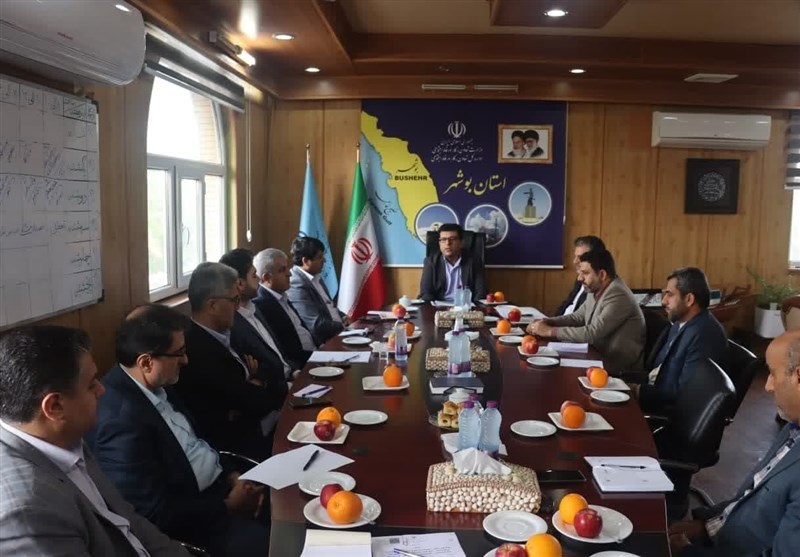 تعاونیهای بوشهر در حوزههای مختلف اقتصادی تقویت میشود