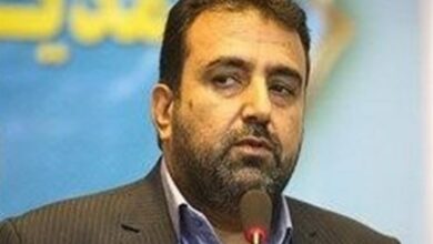 تمرکز فدراسیون بر توسعه شطرنج در استانها