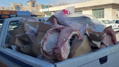 توقیف و معدوم سازی 500 کیلو گوشت مسموم در نیشابور