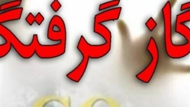 ثبت 199 مورد مسمومیت ناشی از گازگرفتگی در فارس