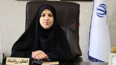 جزئیات اکران فیلمهای فجر در لرستان