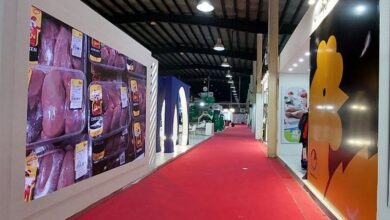 جهادگران عرصه امنیت غذایی کشور در گیلان گردهم آمدند+فیلم