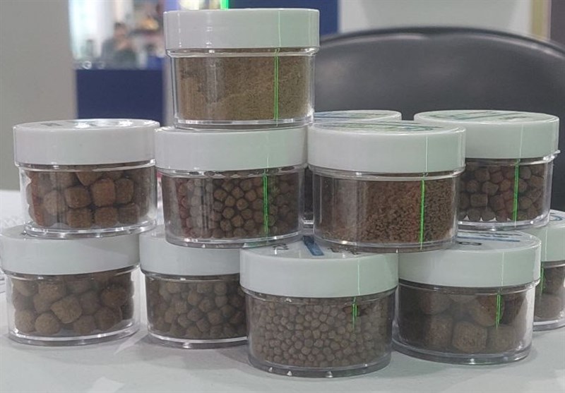 جهادگران عرصه امنیت غذایی کشور در گیلان گردهم آمدند+فیلم