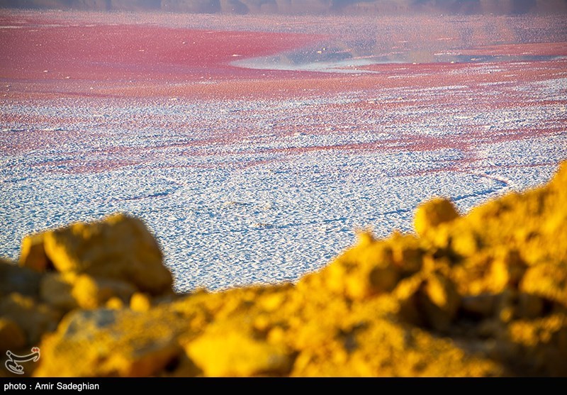 خشک شدن دائمی تالاب مهارلو با ساخت سد تنگ سرخ