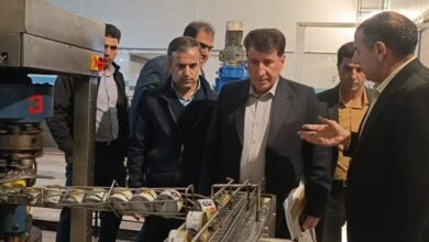 درخواست ستاد تسهیل ویژه برای واحدهای تولیدی کوهدشت