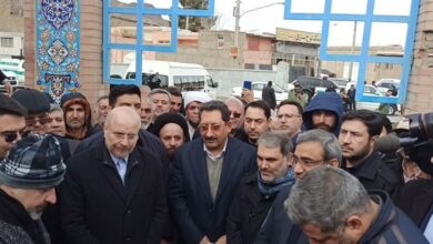 رئیس مجلس شورای اسلامی وارد تربت حیدریه شد