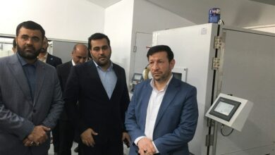 راهاندازی خط ریلی بوشهر اقتصاد منطقه را متحول میکند