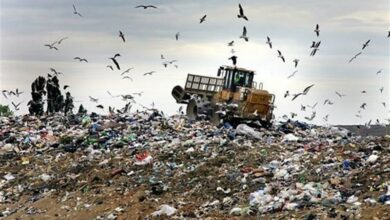 روزانه هر همدانی یک کیلوگرم زباله تولید میکند