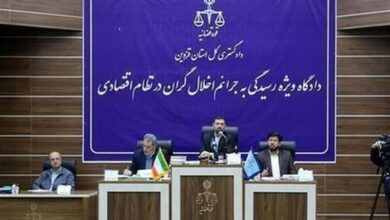 سرمایهگذاری متهمان رضایت خودرو برای احداث کارخانجات