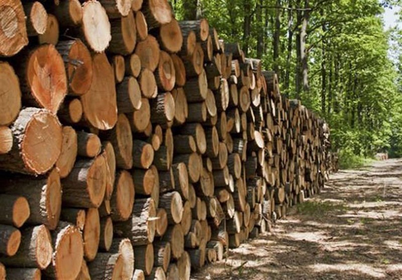 سیگنال مثبت همدان به توسعه صنعت چوب