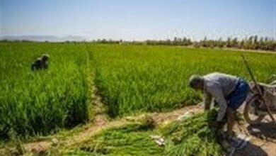 شناسایی 2787 مورد تغییرات اراضی در کردستان