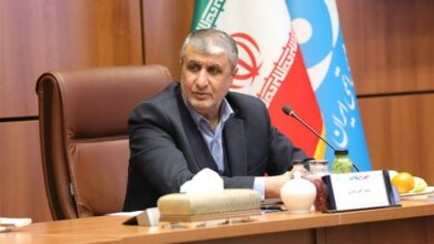 عملیات اجرایی واحدهای دوم و سوم نیروگاه اتمی بوشهر تسریع شود