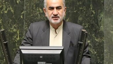 قادری:سازمان محیطزیست تبدیل به حیاط خلوت دولتها شده است