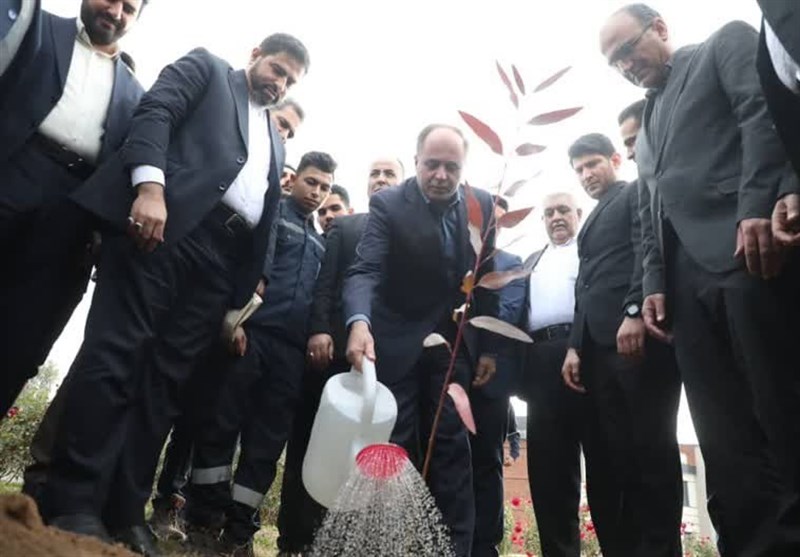 قیمت خرید گندم مشخص شد؛ 20 هزار و 500 تومان