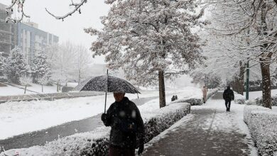 مدارس شیفت بعدازظهر برخی شهرستانهای کردستان مجازی شد