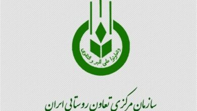 مدیر جدید سازمان تعاون روستایی فارس معرفی شد