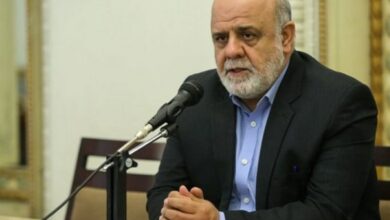 مسجدی: شهید حکیم عالم مجاهد و مبارز و سیاسی بود