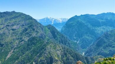 مشکلات کردستان در سطح ملی پیگیری میشود