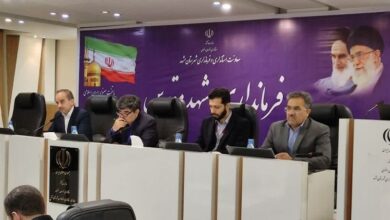 مشکلی برای تامین میوه شب عید در مشهد وجود ندارد