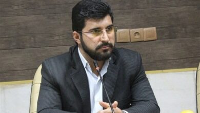 معتمدیزاده:تخصیص یارانه به مشترکان پرمصرف گاز منصفانه نیست