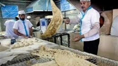 معمای ناتمام کیفیت نان در کهگیلویه و بویراحمد!