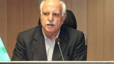 مناطق آزاد به محلی برای واردات کالا تبدیل شدهاند!