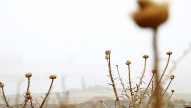 مهگرفتگی در محور زنجان ـ قزوین