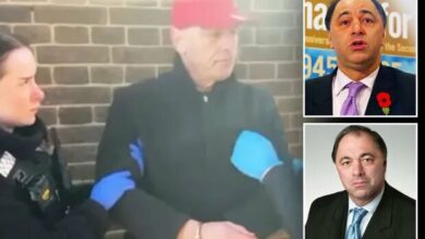 نماینده پارلمان و معاون پیشین وزیر دفاع انگلیس به اتهام آزار جنسی کودکان بازداشت شد+ فیلم