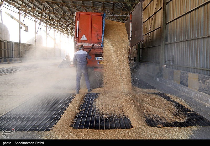 واکاوی علت کیفیت پایین نان در کرمانشاه/ پاسکاری متولیان!