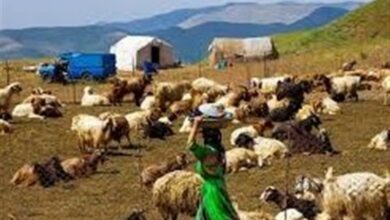 پرداخت 180 میلیارد تومان تسهیلات به عشایر کرمانشاه