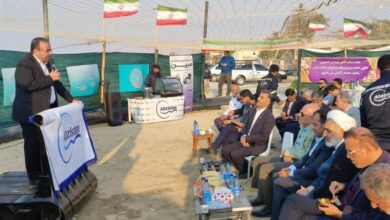 پرورش 100 هزار تن ماهی در برنامه هفتم