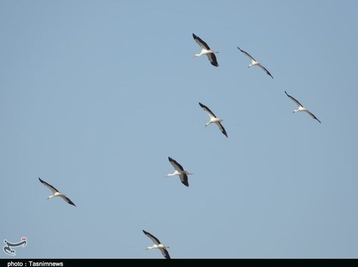 استان لرستان , سازمان محیط زیست , پایش و نظارت در محیط زیست ,