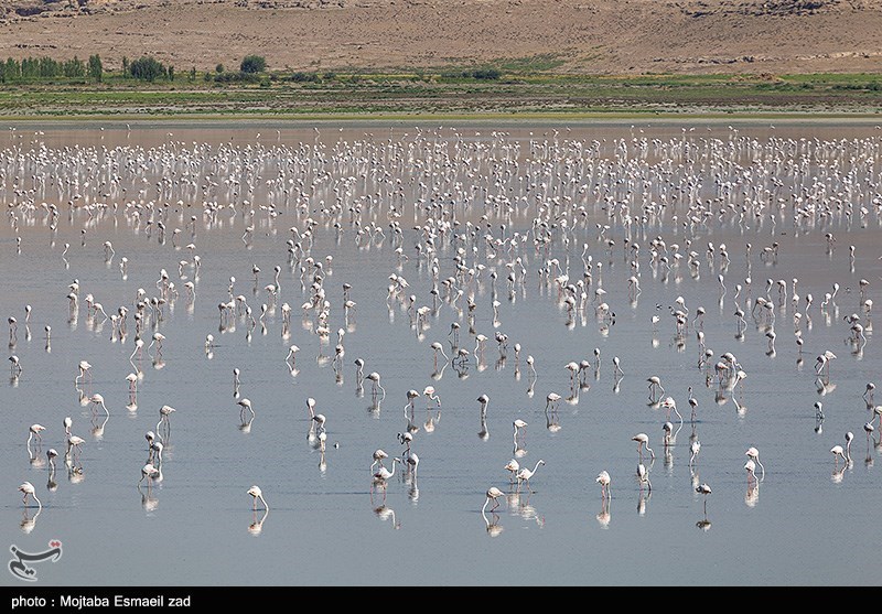 استان لرستان , سازمان محیط زیست , پایش و نظارت در محیط زیست ,