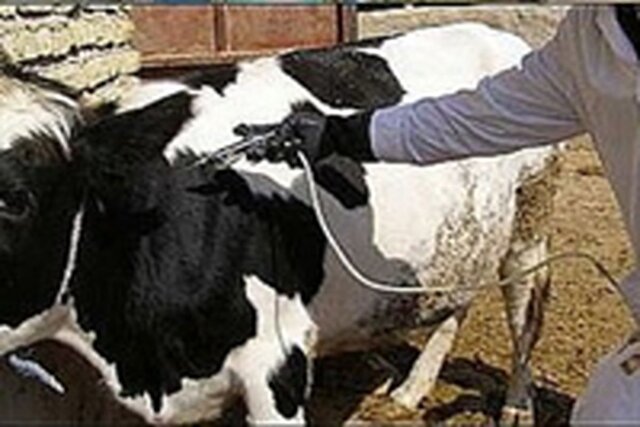 کاهش کانونهای تب برفکی نسبت به سال گذشته/ به اخبار غیر رسمی توجه نکنید