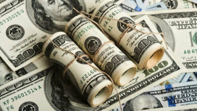 کدام گروه از بانک مرکزی بیشترین ارز را گرفتند؟