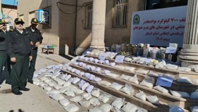 کشف 700 کیلوگرم انواع مواد مخدر صنعتی و سنتی در کرمان