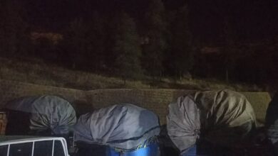 کشف بیش از 10 هزار کیلو ریشه شیرین بیان از قاچاقچیان