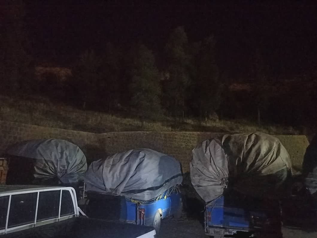 کشف بیش از 10 هزار کیلو ریشه شیرین بیان از قاچاقچیان