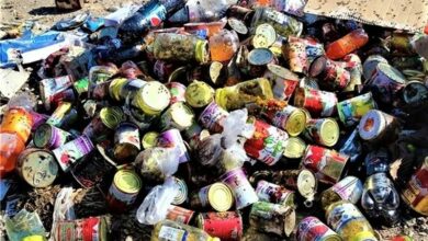 کشف بیش از2700 کیلوگرم مواد غذایی فاسد در کیش