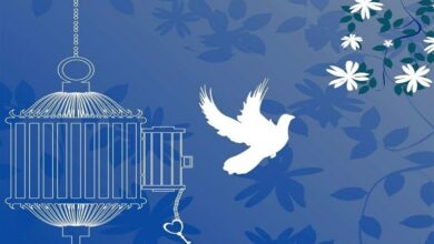 آزادی 16 زندانی ایلامی در دهه فجر