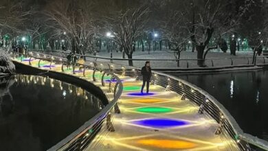 اجرای 260 طرح خلاقانه فضای سبز مشهد در بهار 1404