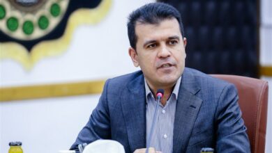 اعلام آمادگی دولت برای توسعه اقتصاد دانشبنیان در ایلام