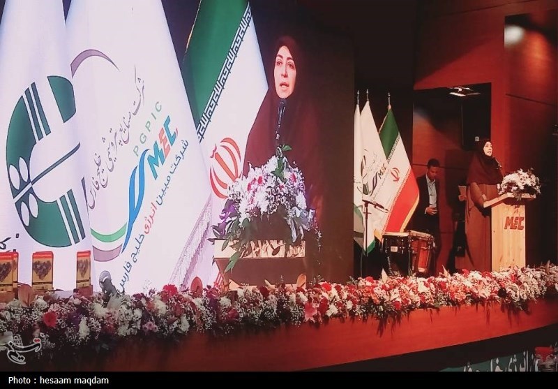 انصاری: دیدگاه دولت مشارکت مردم در حل مشکلات محیط زیستی است