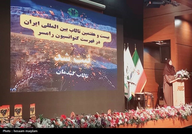 انصاری: دیدگاه دولت مشارکت مردم در حل مشکلات محیط زیستی است