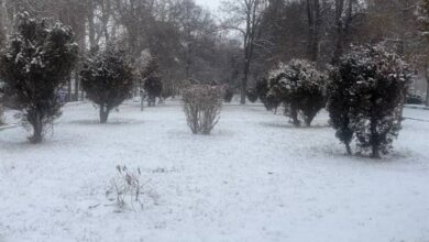 بارش 30سانتیمتری برف در فریدونشهر/امدادرسانی به 120 گرفتار