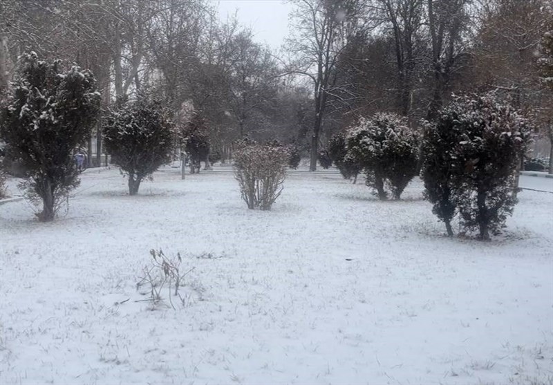 بارش 30سانتیمتری برف در فریدونشهر/امدادرسانی به 120 گرفتار